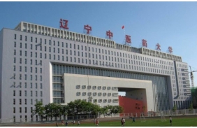 遼寧中醫(yī)藥大學(xué)互聯(lián)網(wǎng)專(zhuān)線(xiàn)及電信綜合接入